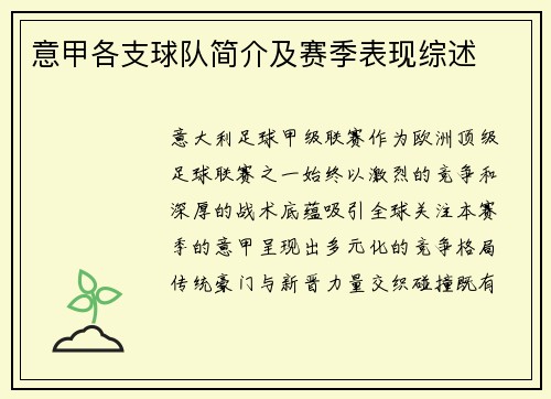 意甲各支球队简介及赛季表现综述