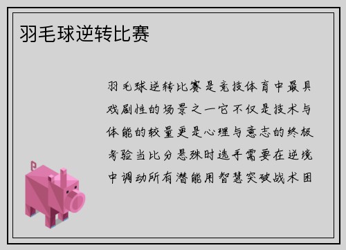 羽毛球逆转比赛